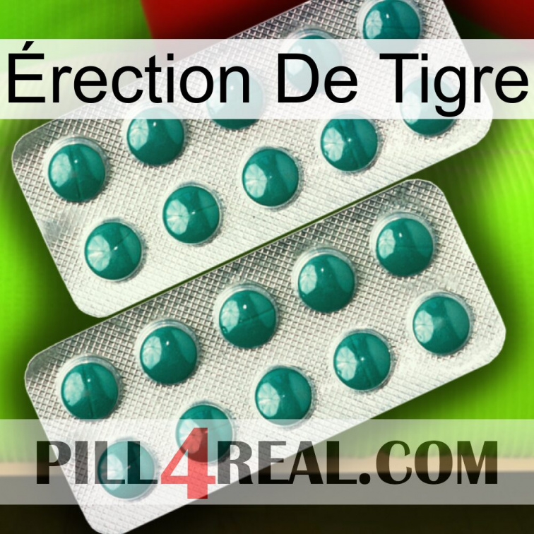 Érection De Tigre dapoxetine2